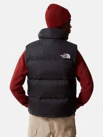 Куртки и дубленки The North Face 1996 Retro Nuptse модель NF0A3JQQLE41 Фото