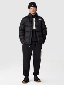 Куртки и дубленки The North Face LHOTSE модель NF0A3Y23YA71 Фото