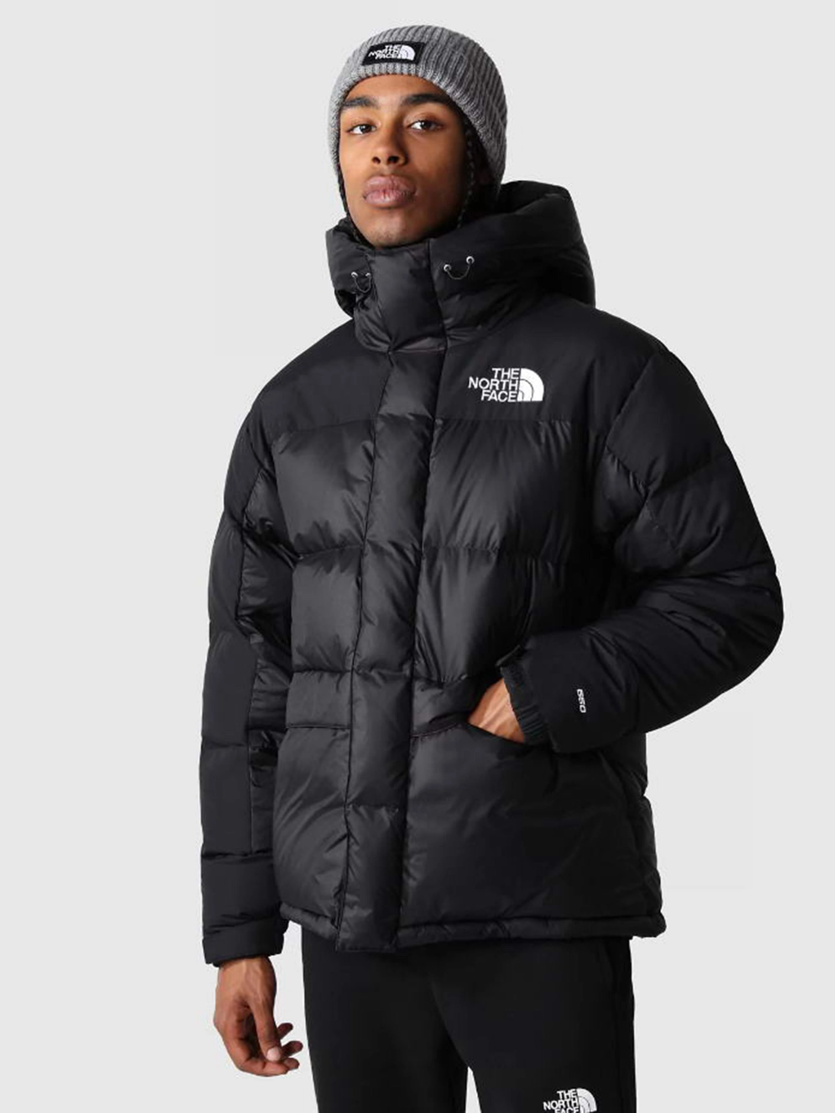 Чоловічий Пуховик The North Face HIMALAYAN DOWN PARKA