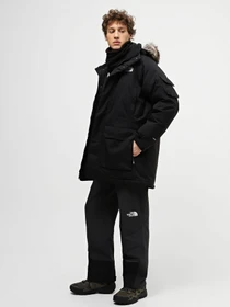 Куртки та дублянки The North Face Recycled Mcmurdo модель NF0A4M8GJK31 Фото