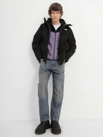 Куртки и дубленки The North Face Triclimate® модель NF0A5IWIJK31 Фото