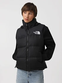 Куртки та дублянки The North Face 1996 Retro Nuptse модель NF0A3XEPLE41 Фото