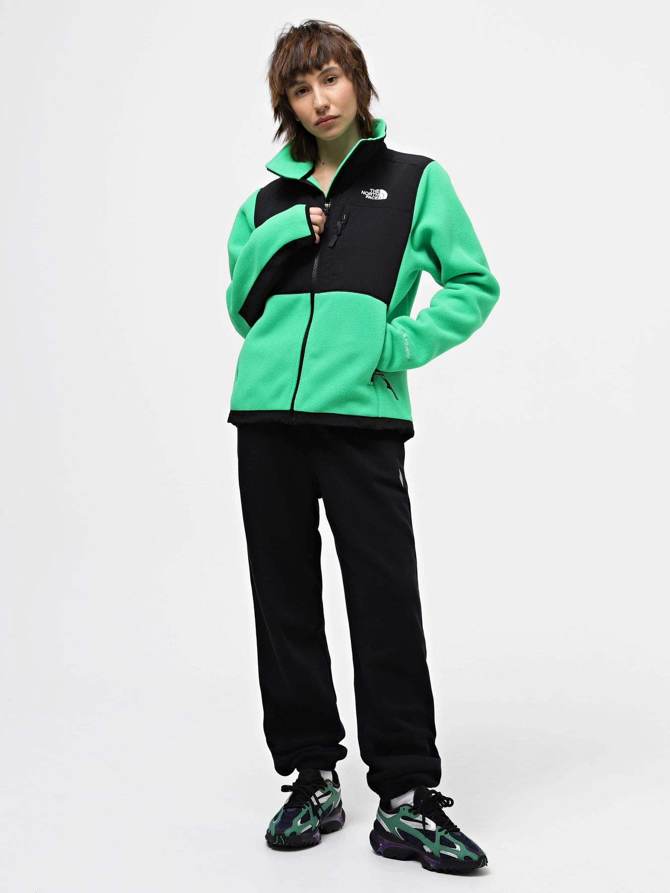 Худи и свитшоты The North Face Denali модель NF0A7UR6PO81 Худи и свитшоты The North Face Denali модель NF0A7UR6PO81 Фото
