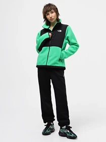 Худи и свитшоты The North Face Denali модель NF0A7UR6PO81 Фото