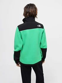 Худи и свитшоты The North Face Denali модель NF0A7UR6PO81 Фото
