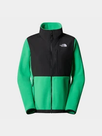 Худи и свитшоты The North Face Denali модель NF0A7UR6PO81 Фото