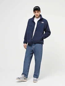 Куртки и дубленки The North Face M Ripstop Denali Jacket модель NF0A86ZU8K21 Фото