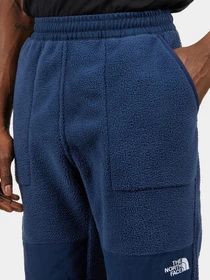 Брюки The North Face Ripstop Denali модель NF0A86ZV8K21 Фото