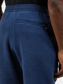 Брюки The North Face Ripstop Denali модель NF0A86ZV8K21 Фото