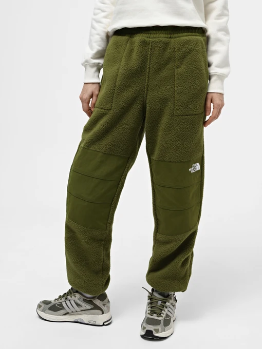 Брюки The North Face W Ripstop Denali Pant модель NF0A870TPIB1 Фото