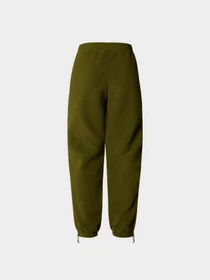 Брюки The North Face W Ripstop Denali Pant модель NF0A870TPIB1 Фото