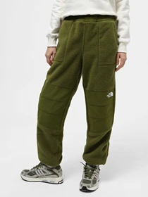 Брюки The North Face W Ripstop Denali Pant модель NF0A870TPIB1 Фото
