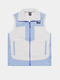 Куртки и дубленки The North Face Fleeski Y2K Vest модель NF0A879KVID1 Фото