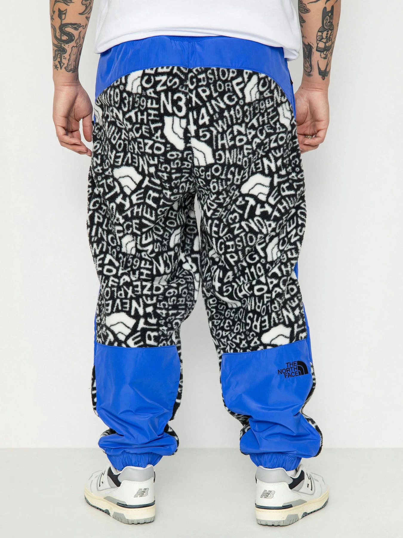 Брюки The North Face M Fleeski Y2K модель NF0A887JU2O1 Брюки The North Face M Fleeski Y2K модель NF0A887JU2O1 Фото