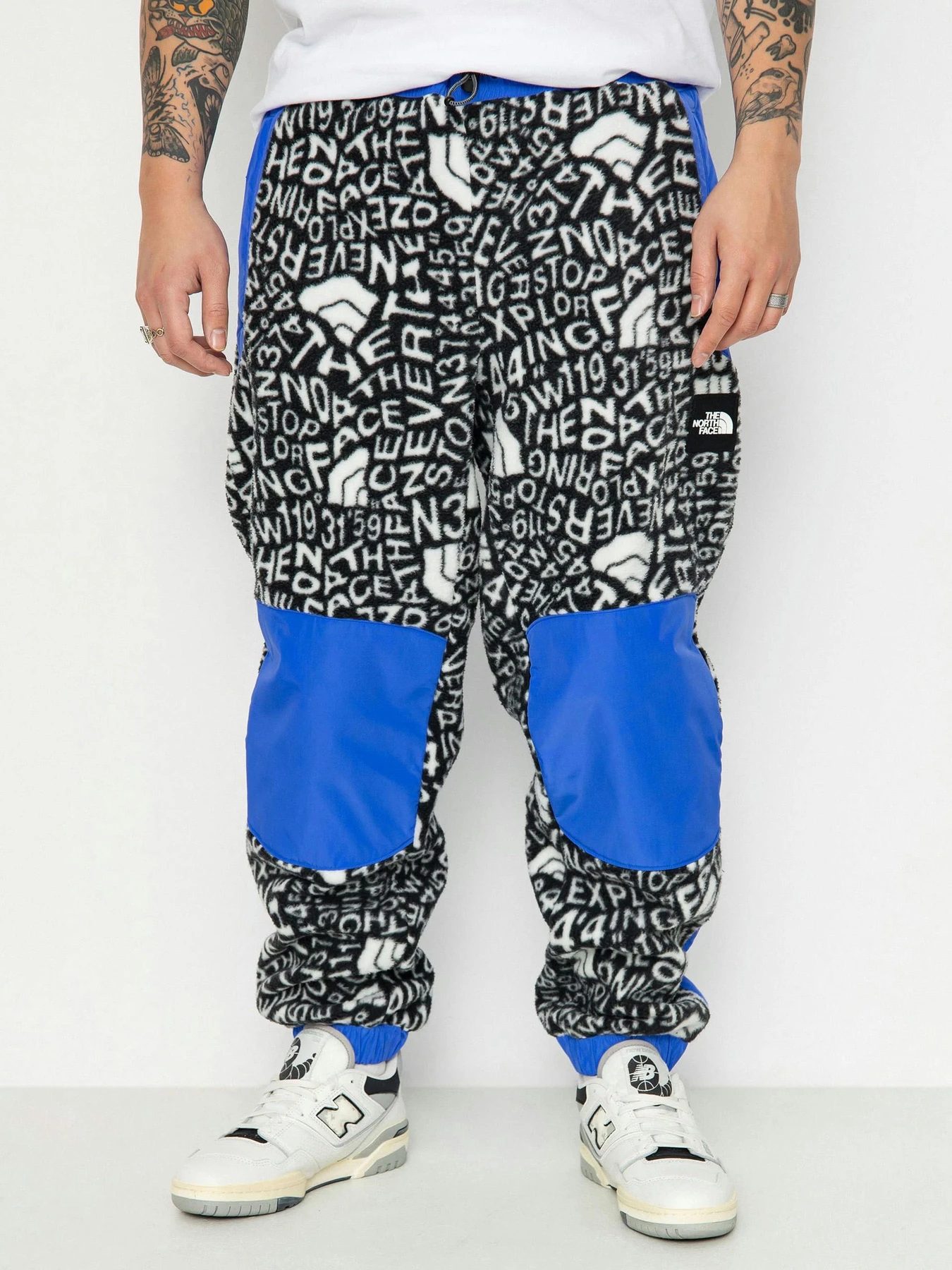 Брюки The North Face M Fleeski Y2K модель NF0A887JU2O1 Брюки The North Face M Fleeski Y2K модель NF0A887JU2O1 Фото