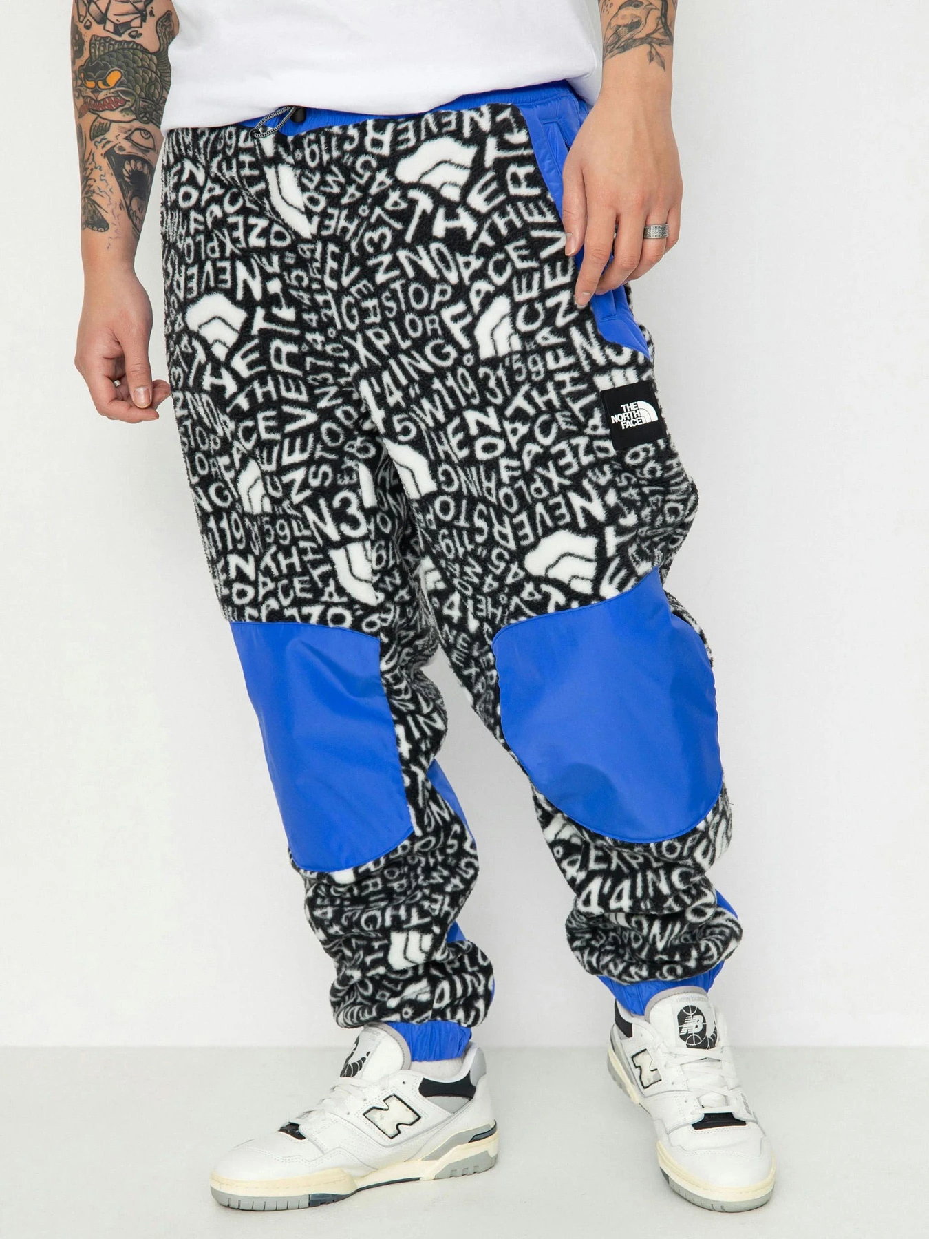 Брюки The North Face M Fleeski Y2K модель NF0A887JU2O1 Брюки The North Face M Fleeski Y2K модель NF0A887JU2O1 Фото