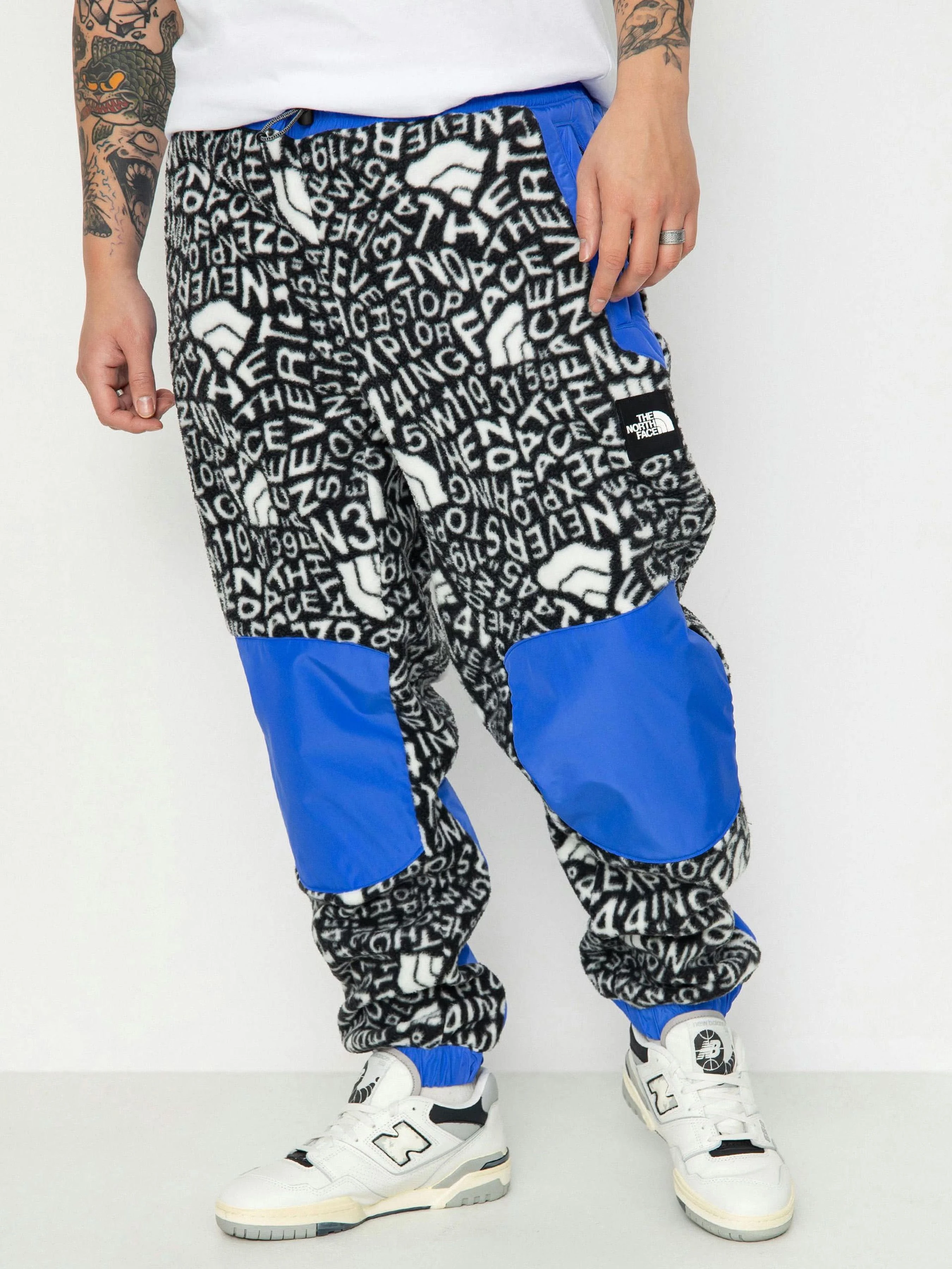Чоловічі Джогери The North Face M Fleeski Y2K