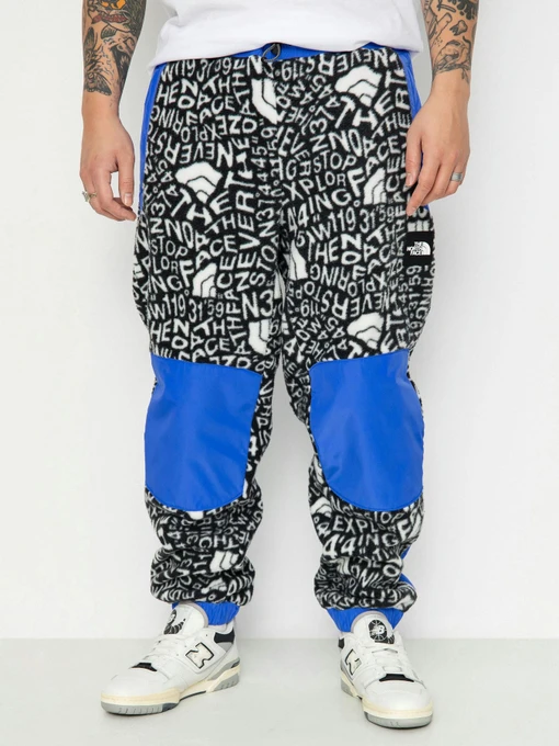 Чоловічі Джогери The North Face M Fleeski Y2K фото 3