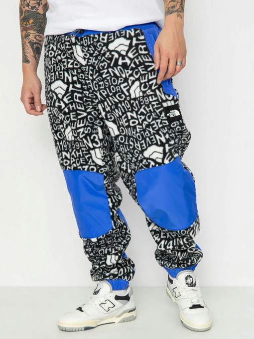 Брюки The North Face M Fleeski Y2K модель NF0A887JU2O1 Фото