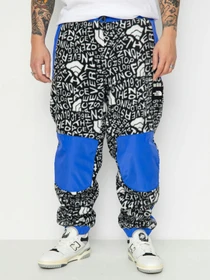Брюки The North Face M Fleeski Y2K модель NF0A887JU2O1 Фото