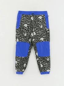 Брюки The North Face M Fleeski Y2K модель NF0A887JU2O1 Фото