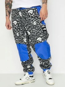 Брюки The North Face M Fleeski Y2K модель NF0A887JU2O1 Фото