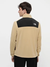 Худи и свитшоты The North Face Homesafe модель NF0A8563QV21 Фото