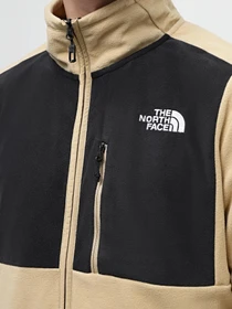 Худи и свитшоты The North Face Homesafe модель NF0A8563QV21 Фото