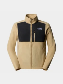 Худи и свитшоты The North Face Homesafe модель NF0A8563QV21 Фото