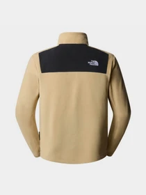 Худи и свитшоты The North Face Homesafe модель NF0A8563QV21 Фото