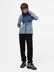 Худи и свитшоты The North Face Homesafe модель NF0A8567W9I1 Фото