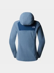 Худи и свитшоты The North Face Homesafe модель NF0A8567W9I1 Фото