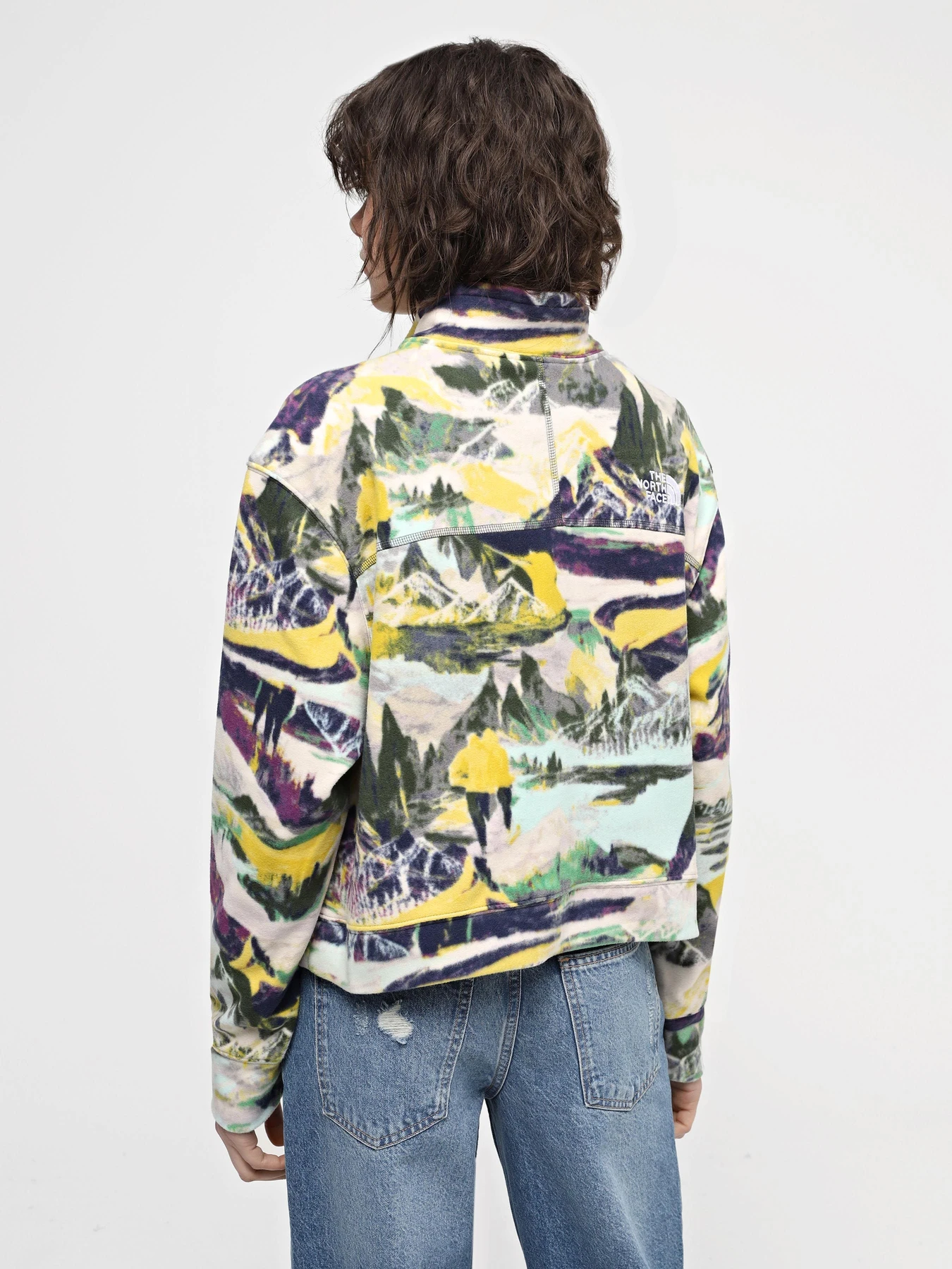 Худи и свитшоты The North Face W 100 Glacier Printed Half Zip модель NF0A8593RZI1 Худи и свитшоты The North Face W 100 Glacier Printed Half Zip модель NF0A8593RZI1 Фото