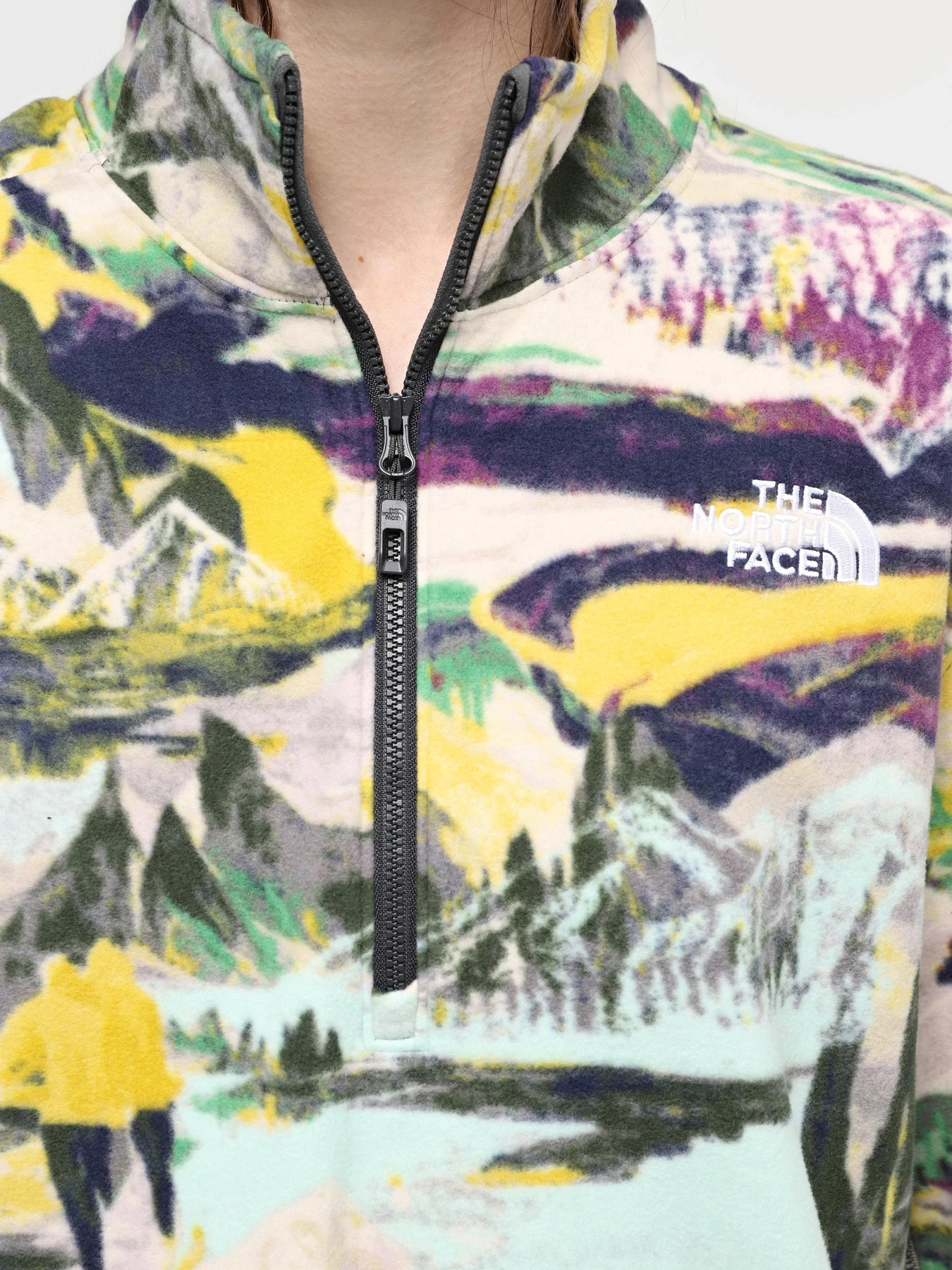 Худи и свитшоты The North Face W 100 Glacier Printed Half Zip модель NF0A8593RZI1 Худи и свитшоты The North Face W 100 Glacier Printed Half Zip модель NF0A8593RZI1 Фото