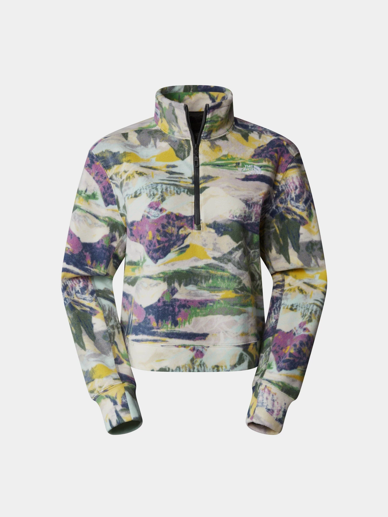 Худи и свитшоты The North Face W 100 Glacier Printed Half Zip модель NF0A8593RZI1 Худи и свитшоты The North Face W 100 Glacier Printed Half Zip модель NF0A8593RZI1 Фото