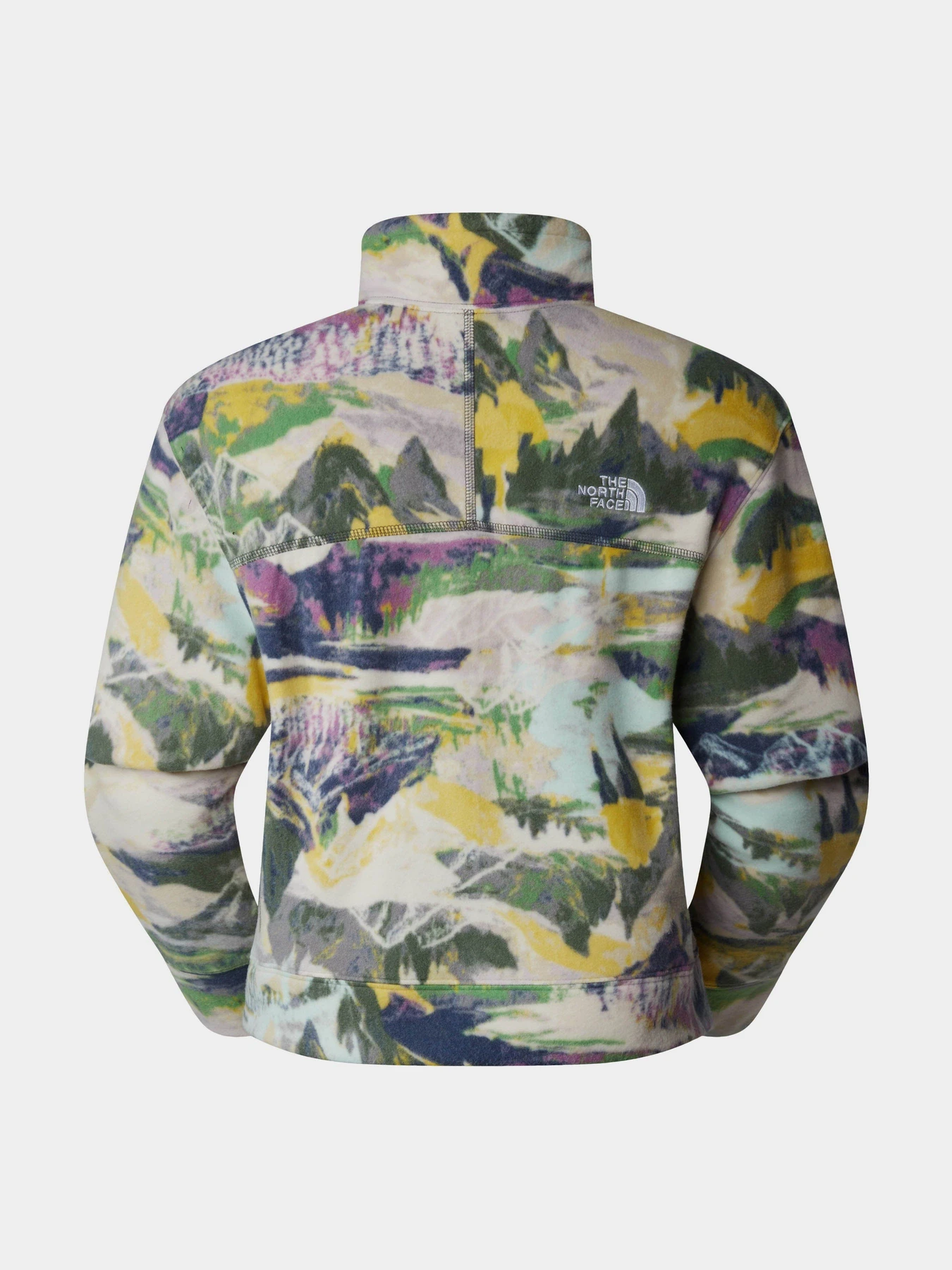 Худи и свитшоты The North Face W 100 Glacier Printed Half Zip модель NF0A8593RZI1 Худи и свитшоты The North Face W 100 Glacier Printed Half Zip модель NF0A8593RZI1 Фото