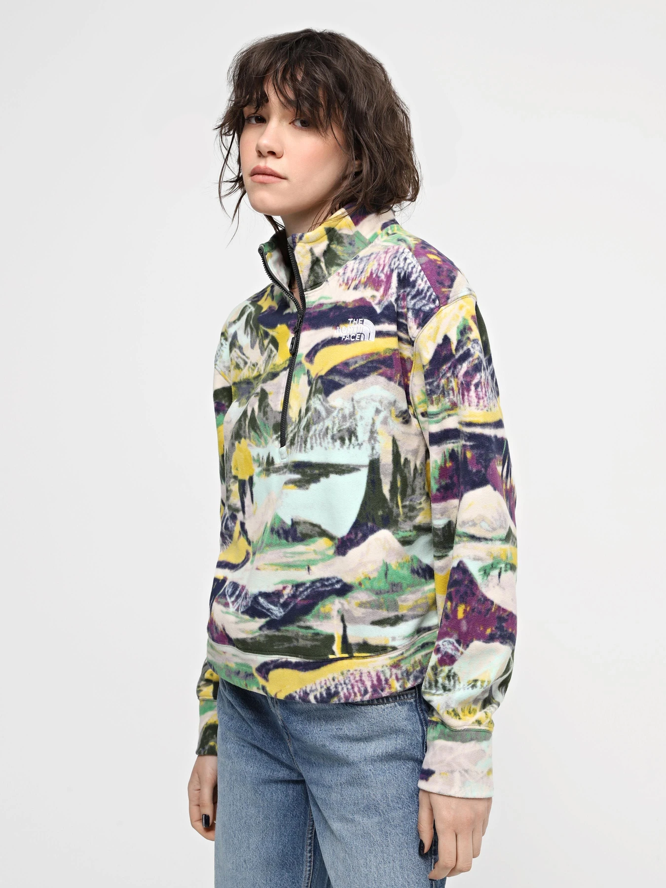 Худи и свитшоты The North Face W 100 Glacier Printed Half Zip модель NF0A8593RZI1 Худи и свитшоты The North Face W 100 Glacier Printed Half Zip модель NF0A8593RZI1 Фото