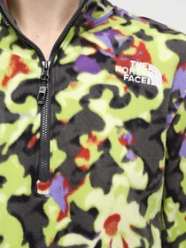 Худи и свитшоты The North Face W 100 Glacier Printed Half Zip модель NF0A8593RYI1 Фото