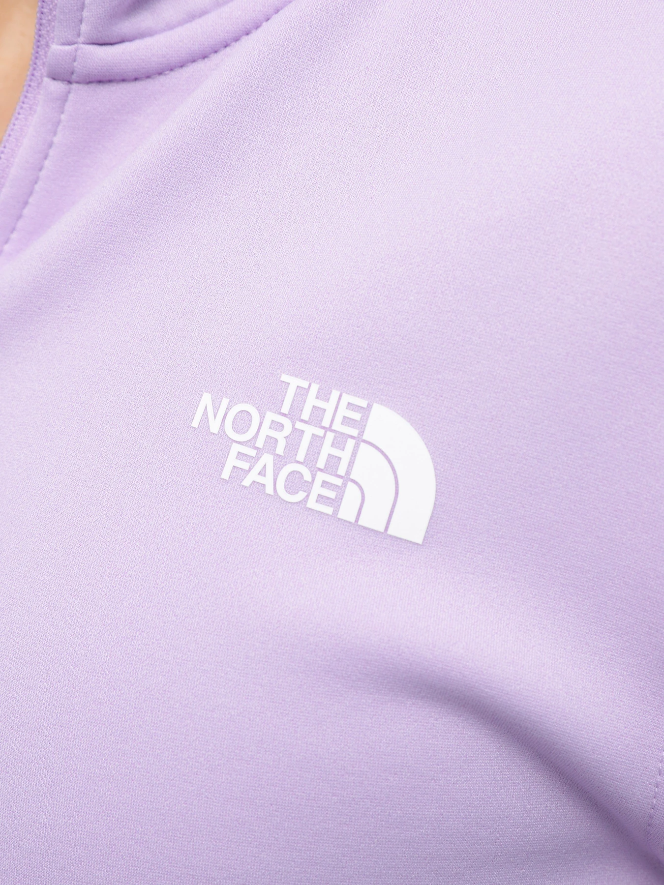 Худи и свитшоты The North Face Mistyescape Fleece модель NF0A87HTWI21 Фото