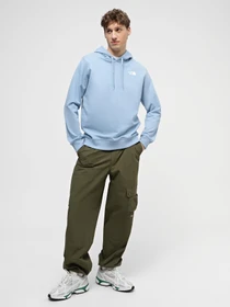 Худи и свитшоты The North Face Seasonal Drew Peak модель NF0A2S57QEO1 Фото