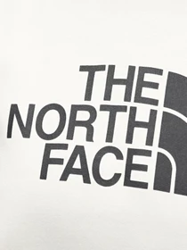 Худи и свитшоты The North Face Light Drew Peak модель NF0A3RZ4QLI1 Фото