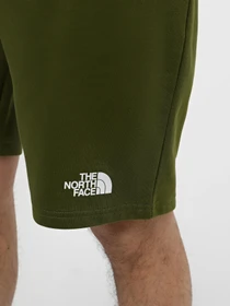 Шорты The North Face M Standard Short Light-Eu модель NF0A3S4EPIB1 Фото