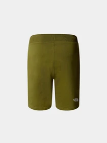 Шорты The North Face M Standard Short Light-Eu модель NF0A3S4EPIB1 Фото
