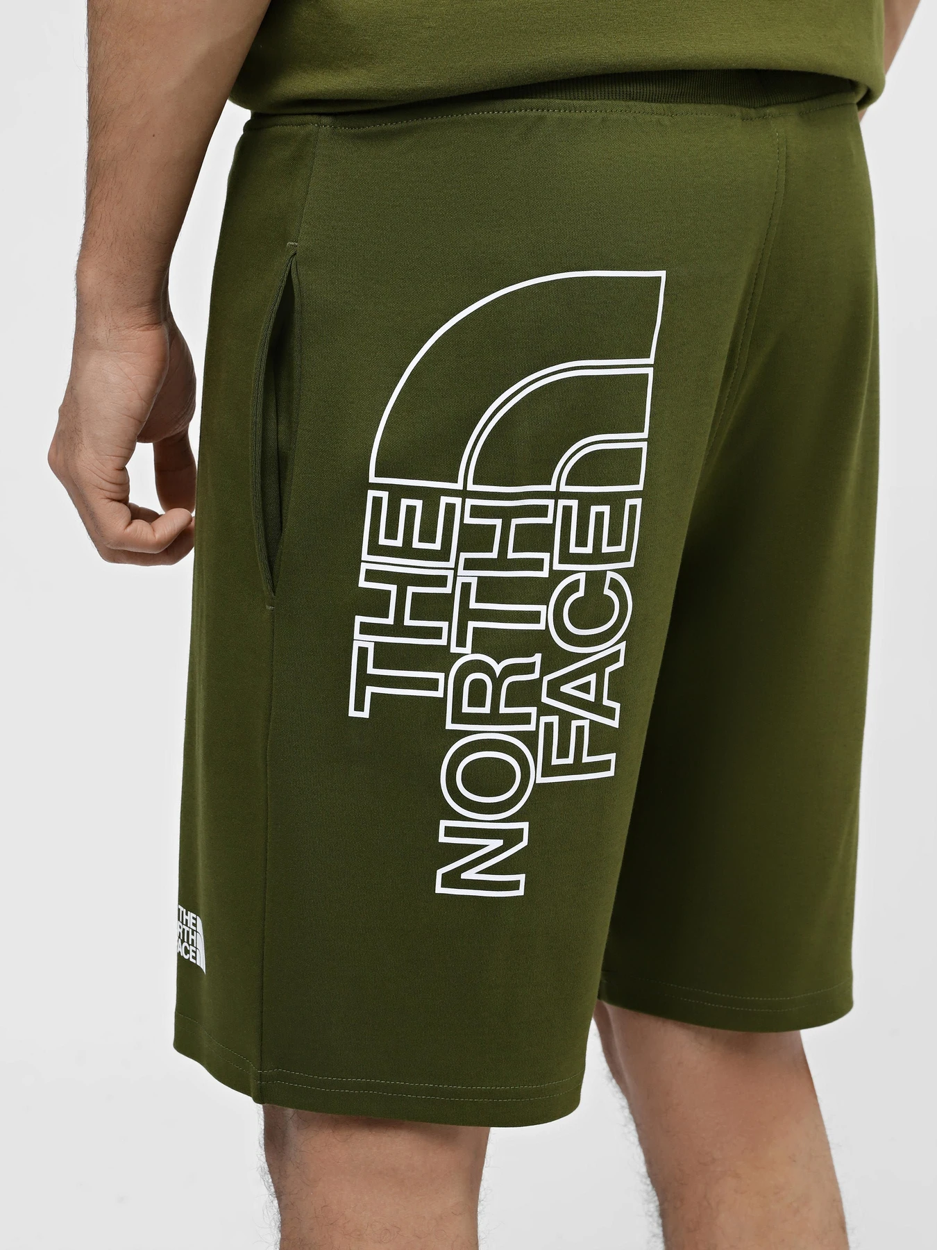 Шорты The North Face M Graphic Short Light-Eu модель NF0A3S4FPIB1 Фото