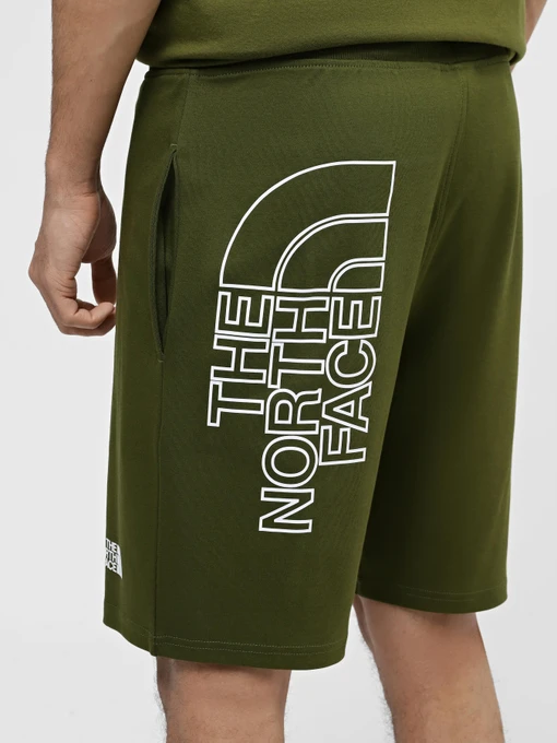 Бавовняні Чоловічі Повсякденні шорти The North Face M Graphic Short Light-Eu фото 3