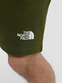 Шорты The North Face M Graphic Short Light-Eu модель NF0A3S4FPIB1 Фото