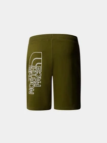Шорты The North Face M Graphic Short Light-Eu модель NF0A3S4FPIB1 Фото