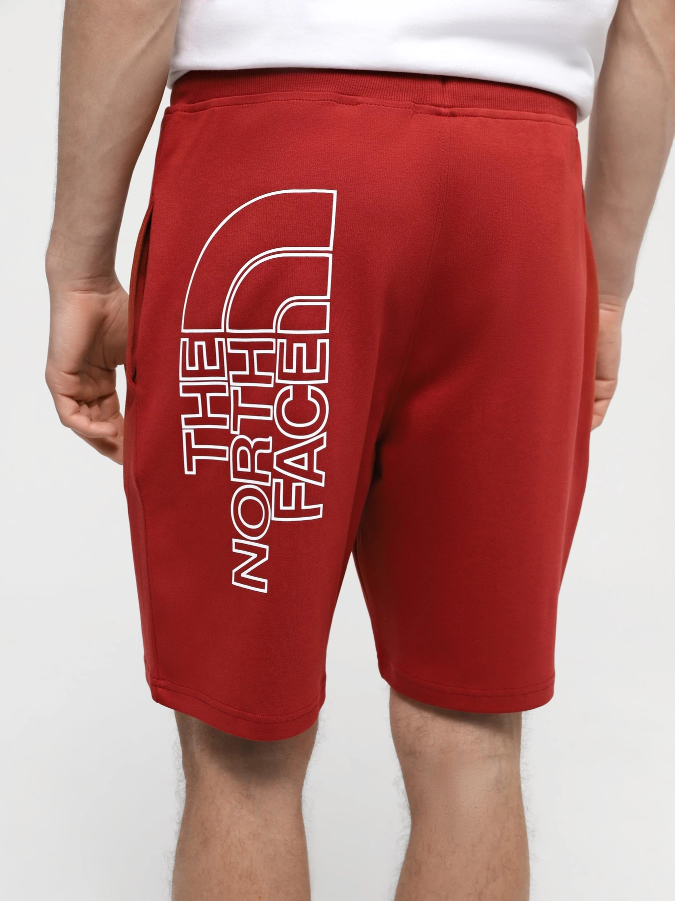 Шорты The North Face M Graphic Short Light-Eu модель NF0A3S4FPOJ1 Фото