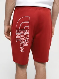 Шорты The North Face M Graphic Short Light-Eu модель NF0A3S4FPOJ1 Фото