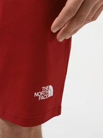 Шорты The North Face M Graphic Short Light-Eu модель NF0A3S4FPOJ1 Фото